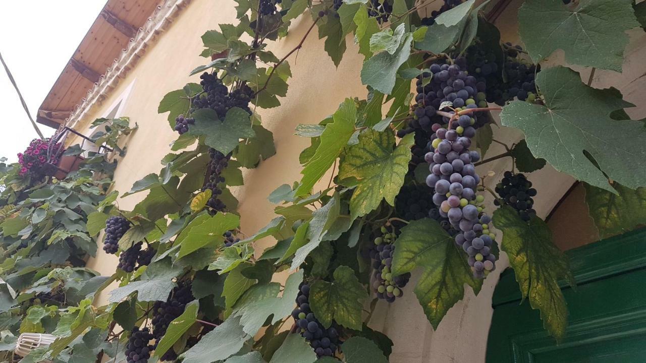 Scaccia Pensieri Villa Cerchio Buitenkant foto